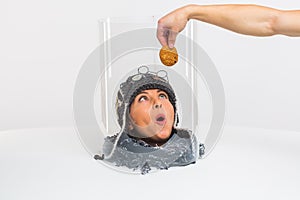 The female head sees the food, but can not bite off because it is under a transparent cap. Restrictions. Conceptually