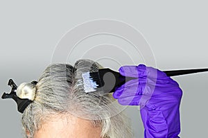 female head showing rooted hair with gray hair applying bleach dye to hair with purple latex gloves, a brush and tweezers photo