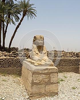 Female-headed sphinx on the Avenue of Sphinxes between the Karnak Temple complex and Luxor Temple in Egypt.