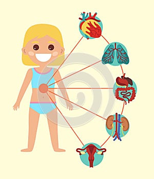 Female health poster with child body anatomy