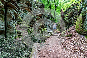 Female hiker with her dog standing on hiking trail