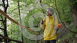 Female hiker on a hiking trip in the woods