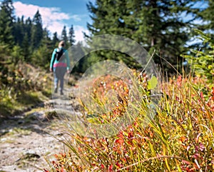 Female Hiker