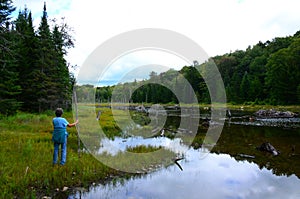 Female hiker looking at old beaver pond landscape