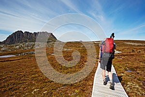 Female hiker on the Overland Trail, Cradle Mountain, Tasmania