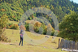 Female hiker taking photos of a herd of horses grazing at the mountain farm, Mestia town, Georgia