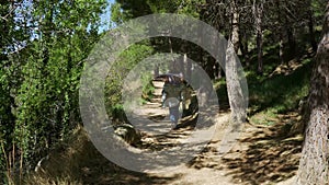 Female hiker walking through the forest and taking off her jacket because of the heat of the weather.