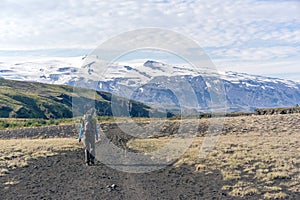 Female hiker walking Laugavegur trail