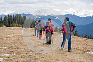 Female hikers in mountains during saffron blooming at spring