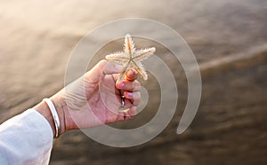 Female holding a starfish on the beach