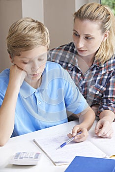 Female Home Tutor Helping Boy With Studies