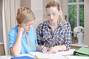 Female Home Tutor Helping Boy With Studies