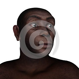 Female erectus portrait - 3D render photo