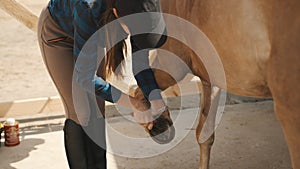 Female Horse Owner Cleaning Horse Hoof With A Hoof Picker Scraping Off Dust