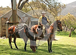 Female horse rider