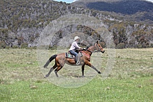 Female horse rider