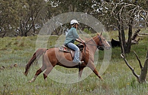 Female horse rider