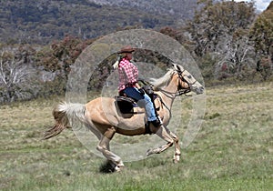 Female horse rider