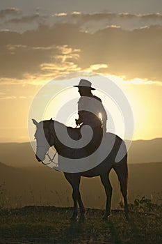 Female horseback rider and horse ride to overlook at Lewa Wildlife Conservancy in North Kenya, Africa at sunset