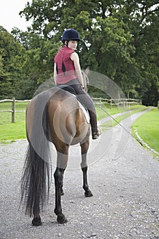 Female Horseback Rider Sitting On Horse