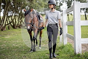 Female horseman go on lawn with Thoroughbred horse