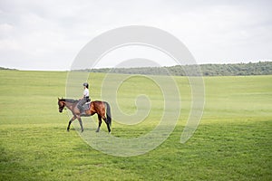 Female horseman riding brown Thoroughbred horse in meadow