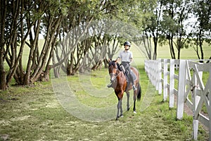 Female horseman riding brown Thoroughbred horse in summer