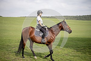 Female horseman riding brown Thoroughbred horse in summer