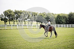 Female horseman riding brown Thoroughbred horse in summer