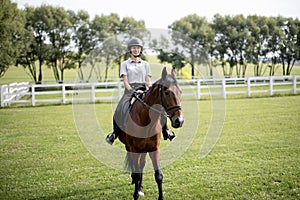 Female horseman riding brown Thoroughbred horse in summer