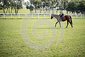 Female horseman riding brown Thoroughbred horse in summer