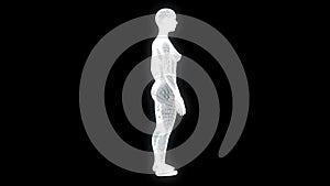 Female Human Wireframe Hologram in Motion. Nice 3D Rendering