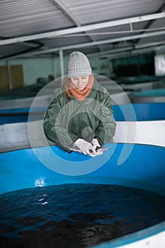 Female inspecting young sturgeon on fish farm