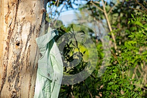 Female jacket hanging on a nail on a tree in the forest in the sun on vacation