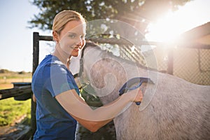 Female jockey cleaning horse with sweat scraper at barn