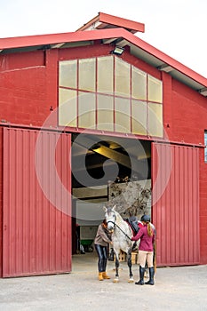 Female jockey about to ride a horse in equestrian center