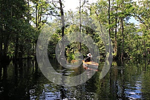 Female kayaker on Fisheating Creek, Florida.