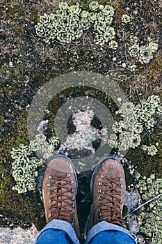 Female leather vintage boots standing on green moss background