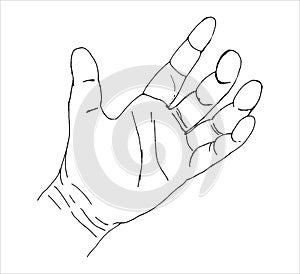 Female left Hand. Outline. Vector sketch illustration.