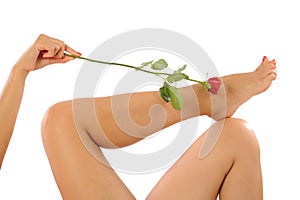 female legs of a beautiful woman with red rose flower petals