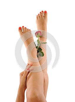 female legs of a beautiful woman with red rose flower petals
