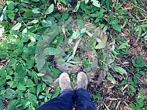 Female legs and feet in blue jeans and brown sneakers standing on the ground of wilderness forest with green shrub and sapling