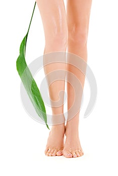 Female legs with green leaf
