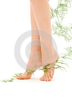 Female legs with green plant