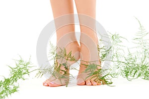 Female legs with green plant