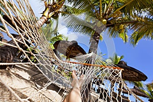 Female legs on hammock on tropical beach with palm leaf thatch roofing umbrellas and palm trees in the background