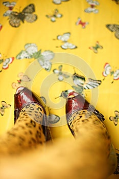 Female legs in leopard print tights and red patent leather shoes