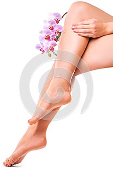 Female legs and pink manicure with orchid flower