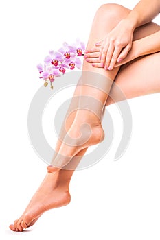 Female legs and pink manicure with orchid flower