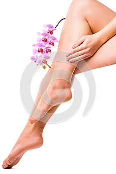 Female legs and pink manicure with orchid flower